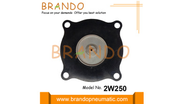 2W250-25, 2S250-25 Solenoid Valve Diaphragm