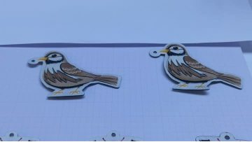 Woven filling animal crafts (2)