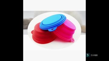 Portable Non-toxic Silicone Folding Pet Bowl