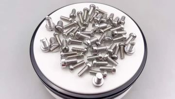 DIN84 Slotted Cheese Head Screws
