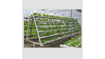 PVC Pipe NFT Vertical Hydroponics System for Sale1