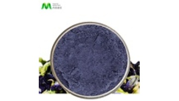 Natural Food Ingredient Blue Matcha Powder1
