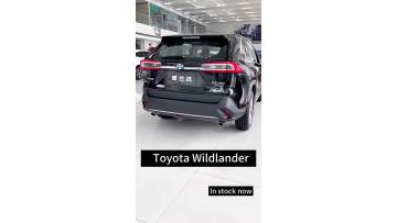 Toyota Wildlander Gasoline SUV