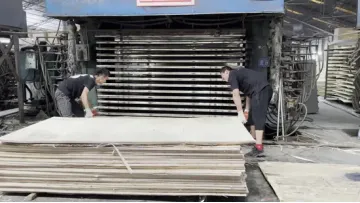 9/12/18mm Melamine Film Faced Poplar Pine Birch Marine Laminated Veneer Shuttering Plywood1