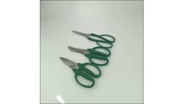 green garden pruning shears