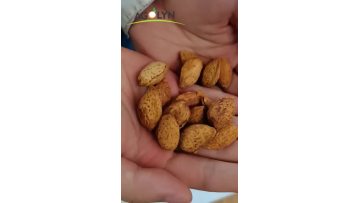 almond nuts