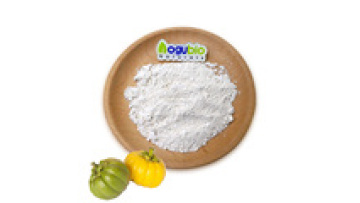 Garcinia Cambogia Extract Powder - HCA 50%, 60%, 70%1