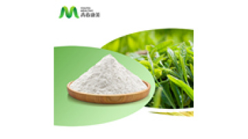 Chinese Supplier Green Tea Extract Powder Capsule L-theanine Capsule1
