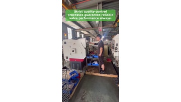 Video 12