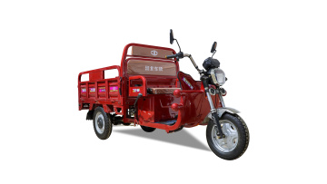 Cargo tricycle LB-co4