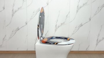 Fanmitrk Toilet Seat MDFDJ2506