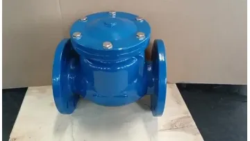 China Products/Suppliers. Pn16 Duction Cast Iron Body Flang Swing Check Valve1