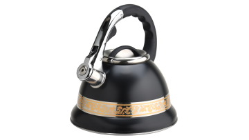 Black coating and gold pattern water kettle FH-383