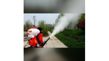 3WF-3.mp4