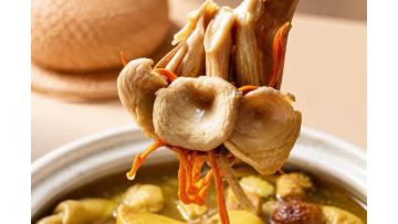 Elm Yellow Mushroom Foods