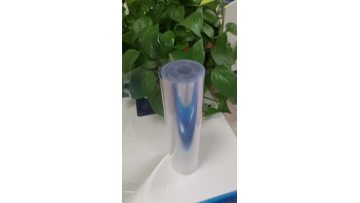petg1219