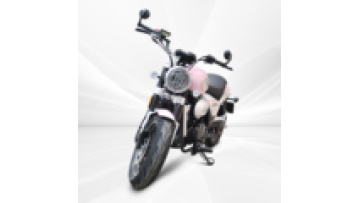 2023 Newest Chopper 250CC  euro 5 motorcycle water cooling double cylinder engine EFI ABS Off Road Racing motorcycle1