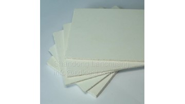 solid ceiling 04