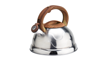 FH-389 stainless steel stovetop tea kettle