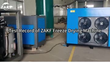 Refrigerated dryer testing