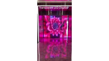 Transparent Led Screen Display
