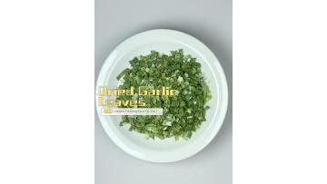Garlic Leaves
