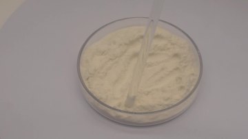 Factory Supply Best Price Codonopsis Root Extract Pilose Asiabell Root Extract Dangshen Extract1
