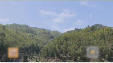 Strand Woven Bamboo Decking Production Procedure