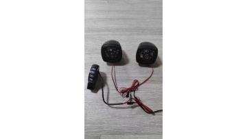 Handle Bluetooth Speaker