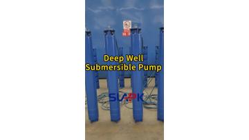 Deep Well Submersible Pump 