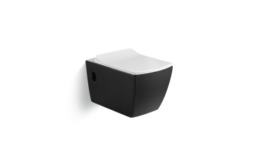 wall hung toilet pulse bidet