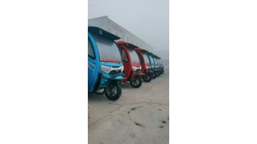 Environmentally Conscious Tricycle for Package Delivery