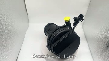 9216 Auto Secondary Air Injection Pump
