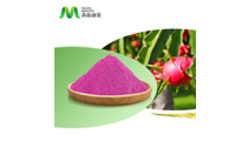 Youth Wholesale Freeze Dried Red Dragon Fruit Powder1