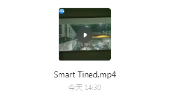 Smart Privacy Tined