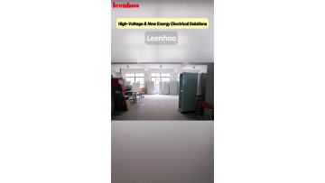  Powering Projects Worldwide With Leenhoo 