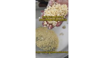 ST-QD113 Commercial Garlic Dicing Machine - Efficient Garlic Cube Cutter for Food Processing