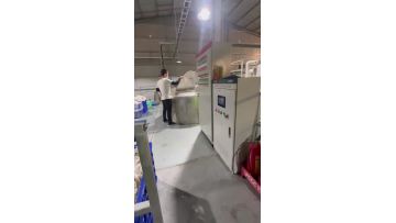 Process video integration