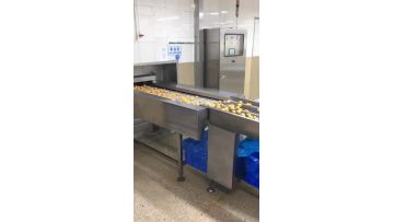 Meat ball feeding port 