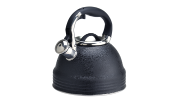 FH-334 black patterned stainless steel kettle