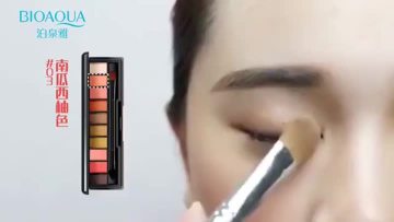 BIOAQUA Twholesale ten colors makeup Eye shadow 