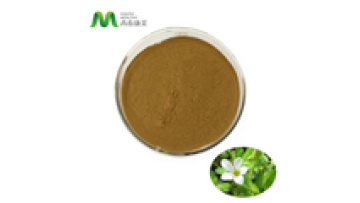 Bacopa Monnieri Extract 5% Bacosides Bacopa Monnieri Powder Extract1