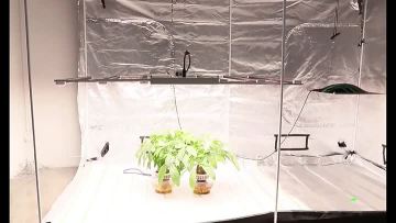 1000w led grow light (3)