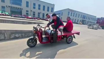 Electric Flatbed Cargo Trike Tricycle