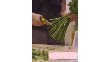 garden scissors