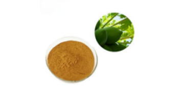YOUTH Biotech Free Sample Pawpaw Extract Powder Papaya Extract1