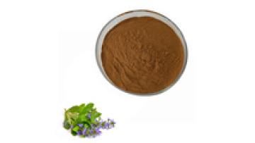 Herbal Extract Turkesterone Ajuga Turkestanica For Food Supplement By HPLC Test1