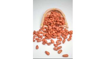 280g Delicious Deep Frying Open Pine Nut