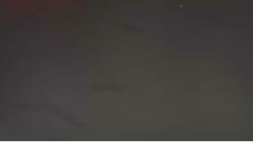 High-quality white dried organic black garlic cloves