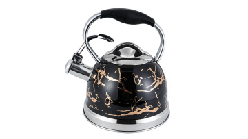 Stainless steel black stove top kettle FH-649C-